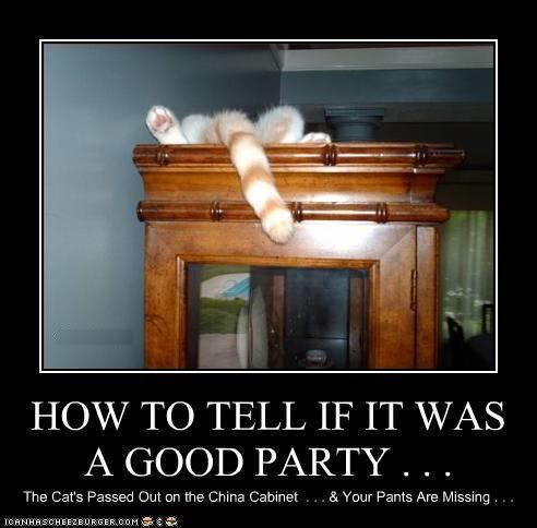funny-pictures-cat-had-a-good-party_zps8d4aa1a5.jpg