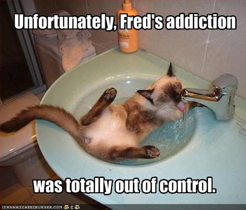 funny-pictures-your-cat-is-addicted-to-water_zps14b7f44c.jpg