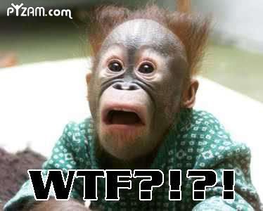 wtf-monkey.jpg