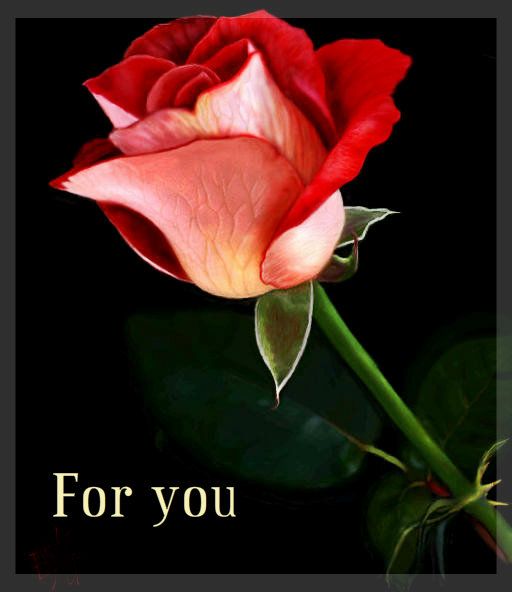 for you-3