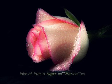 lotz of love-1