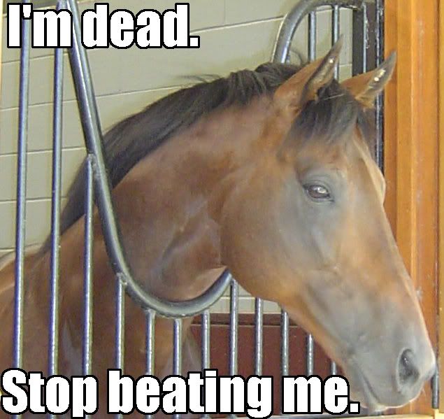 Stop beating a dead horse Pictures, Images and Photos