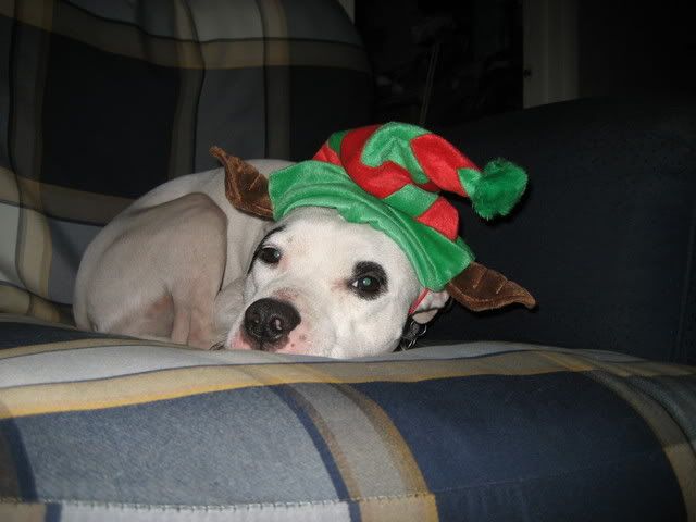 PippaTheChristmasElf.jpg