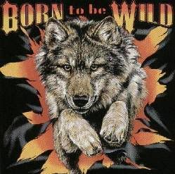 born-to-be-wild-6189.jpg Born to be Wild image by Anna_Malfoy