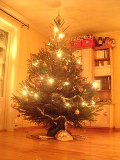 Christmas tree Pictures, Images and Photos