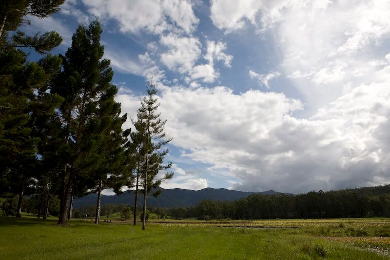 IMAGE: http://i151.photobucket.com/albums/s130/KinnonBellPhotography/blah-18.jpg