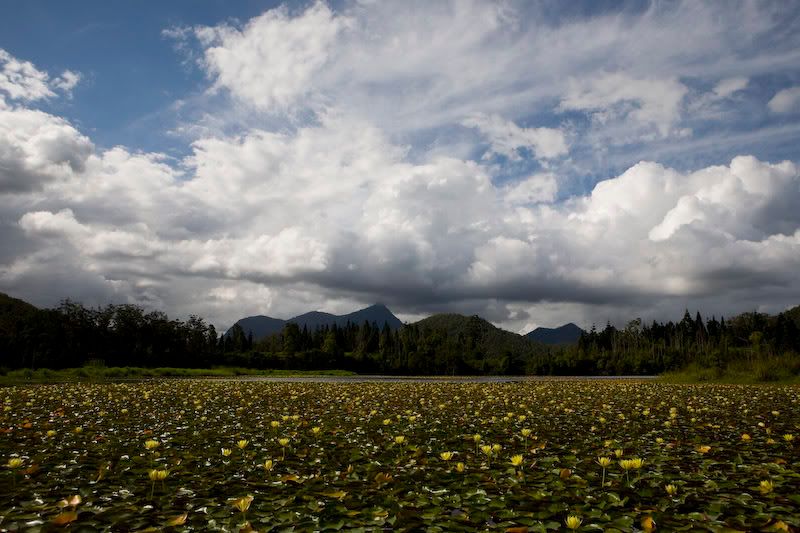 IMAGE: http://i151.photobucket.com/albums/s130/KinnonBellPhotography/blah-31.jpg