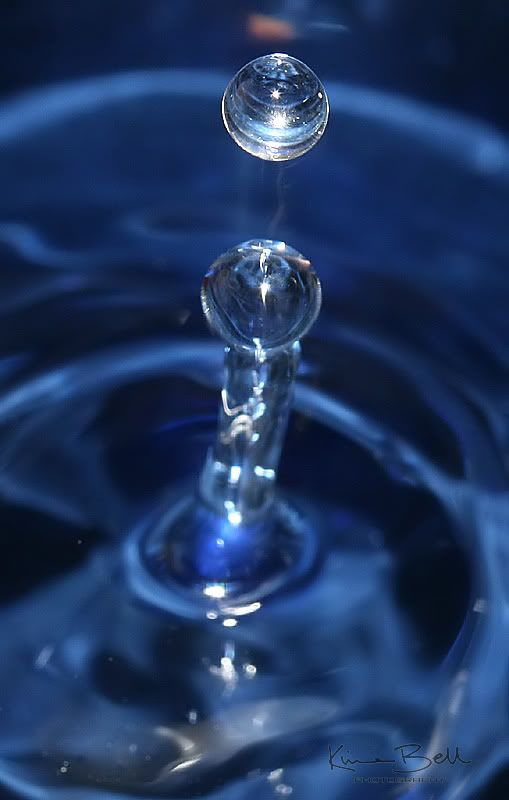 IMAGE: http://i151.photobucket.com/albums/s130/KinnonBellPhotography/droplets_filtered.jpg