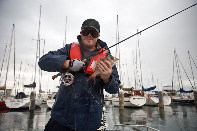 IMAGE: http://i151.photobucket.com/albums/s130/KinnonBellPhotography/geelong.jpg