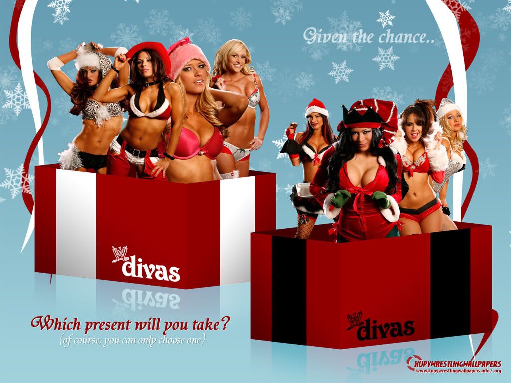 wwe-divas-xmas-wallpaper-1024x768.jpg