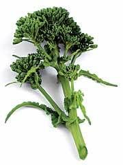 Thin Broccoli