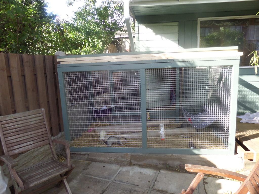 Ferrets new outdoor enclosure. UK Pet Forums Forum