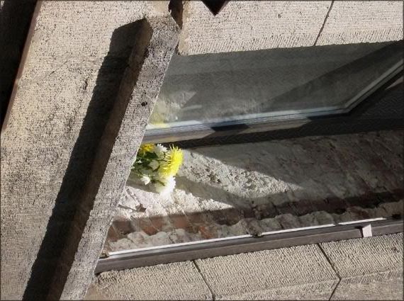 окно на Посадской