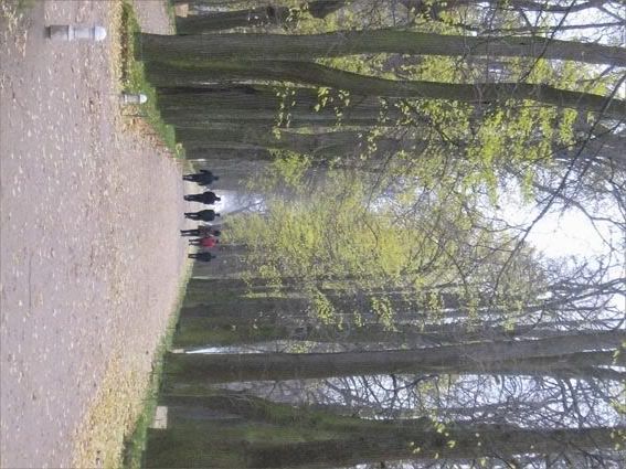 Photo Sharing and Video Hosting at Photobucket