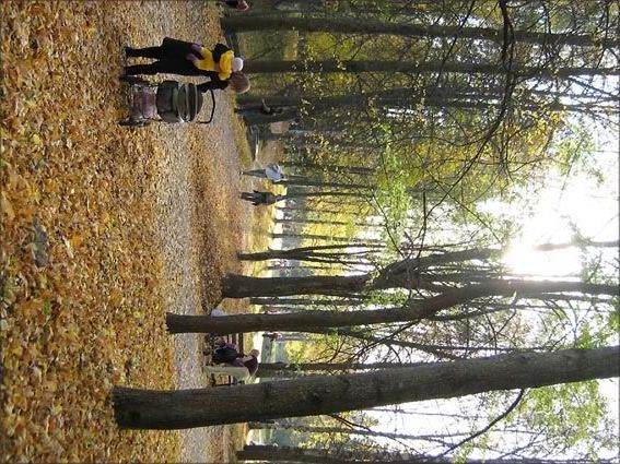 Photo Sharing and Video Hosting at Photobucket