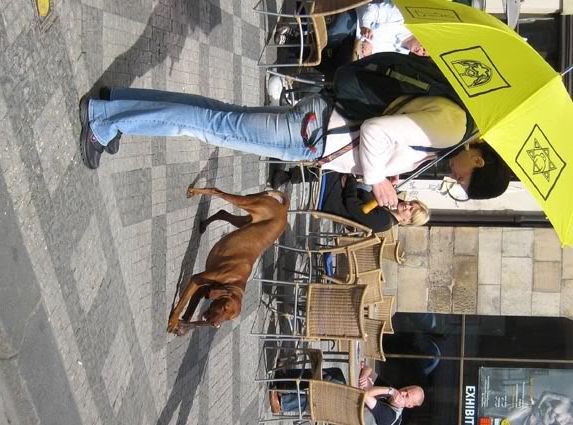 желтый зонтик