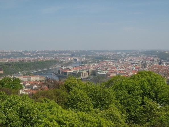 вид с башни