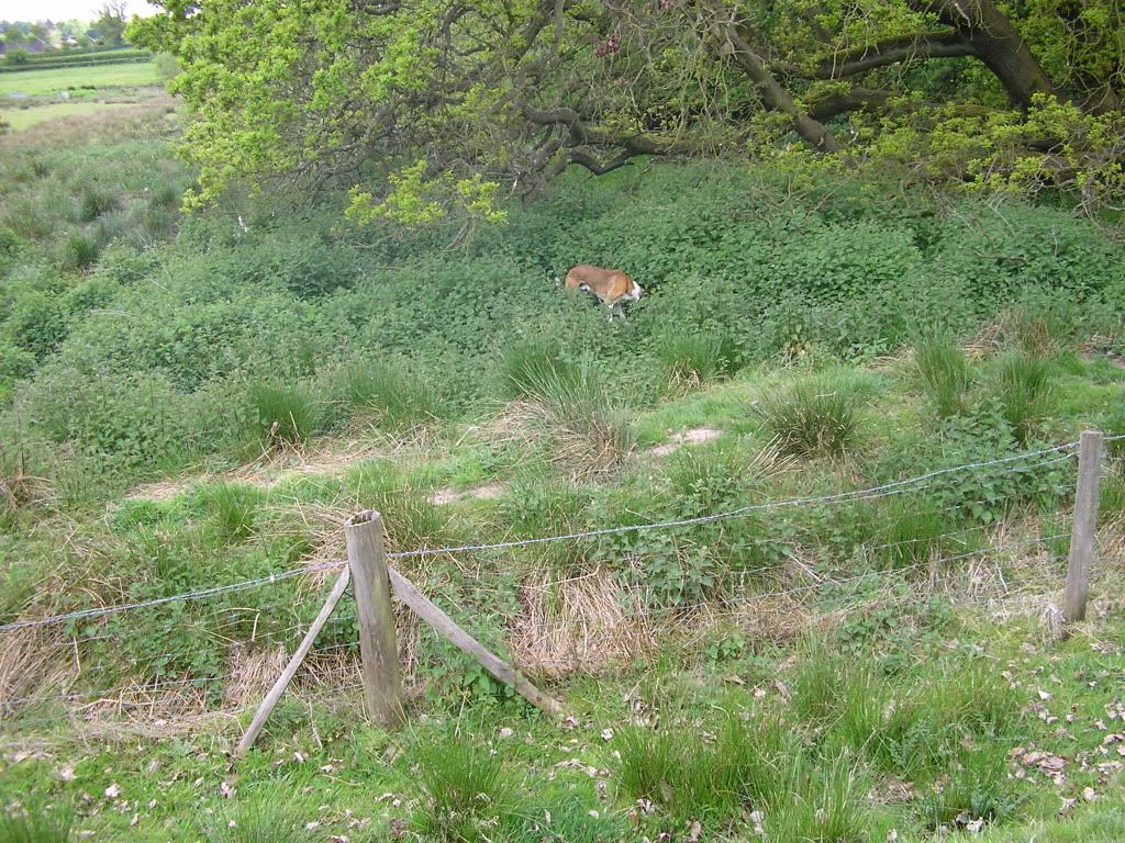 P1010009.jpg
