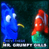 Grumpy Gills Pictures, Images and Photos