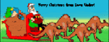 Aussie Christmas greetings Pictures, Images and Photos