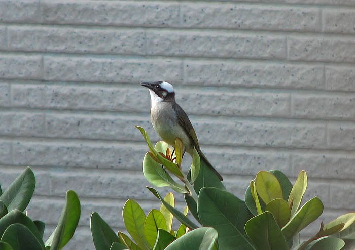 IMG_8083.jpg