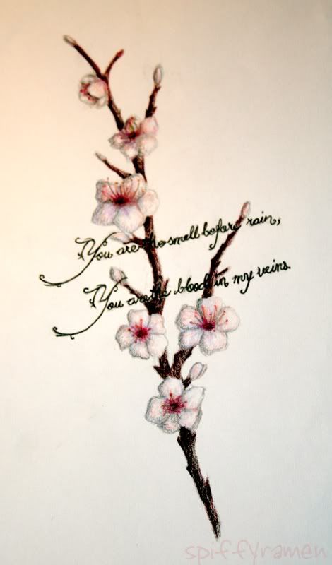 CherryBlossomTattoobyspiffyramenjpg Pictures Images And Photos