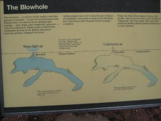 Description of Blowhole
