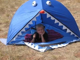 Shark Tent
