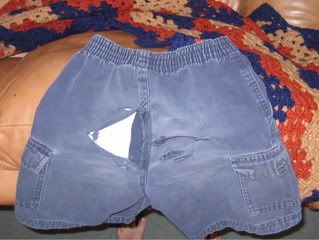LB's pants