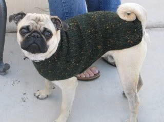 Pugly's sweater