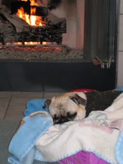 Pugly Recouping after Neutering