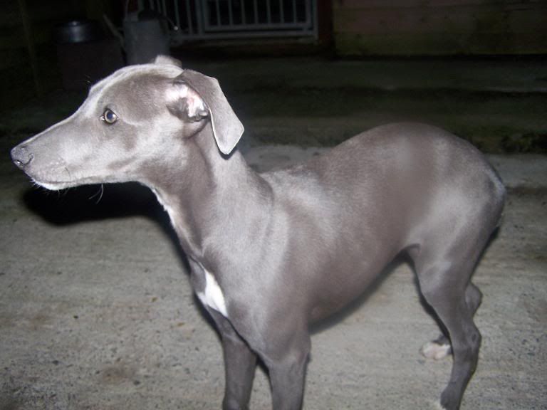 bella044.jpg