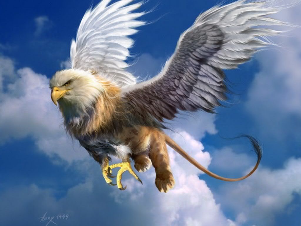 gryphon.jpg?t=1244488913