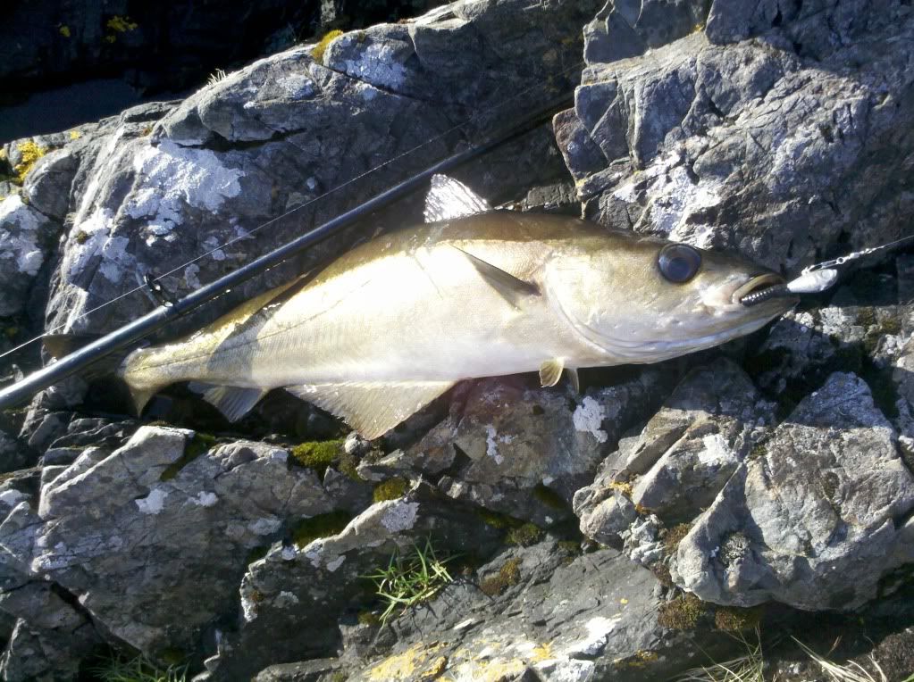 2011-06-02_20-11-16_511.jpg