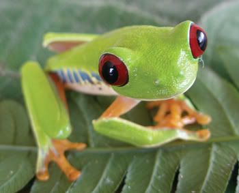 Photo Sharing and Video Hosting at Photobucket