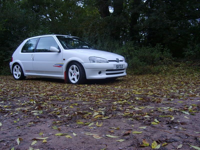S6003244.jpg