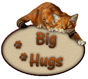 Hugs cat Pictures, Images and Photos