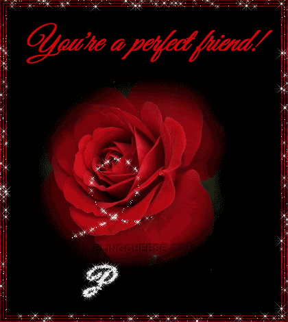 000aevolutionPerfectRedRose.gif image by kalliainen