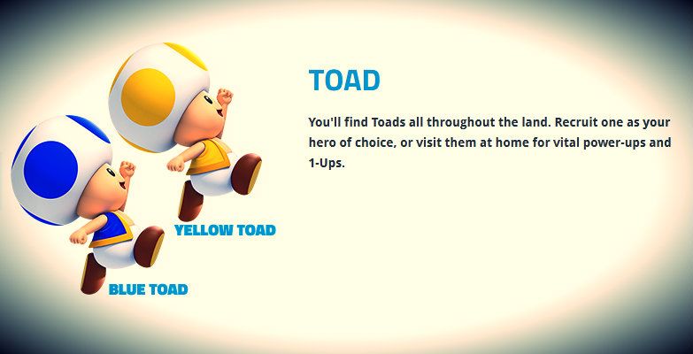Toad-1.jpg