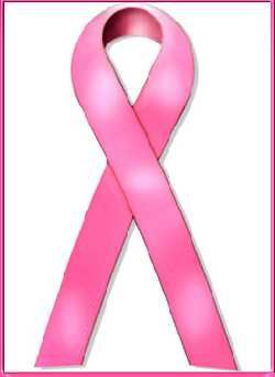 Laço Rosa 121