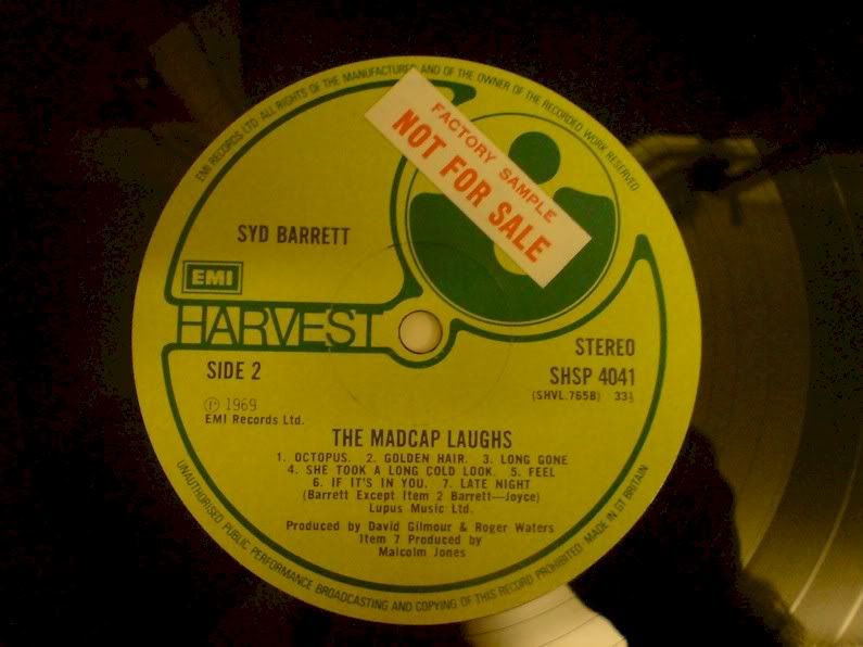 madcap.jpg picture by gazhat