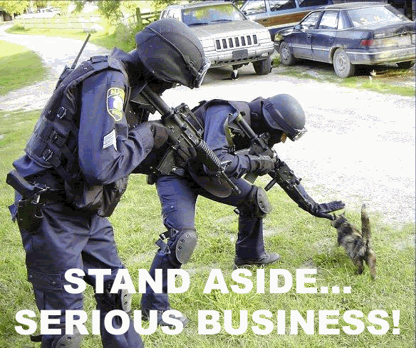 lolcatsdotcomvhtbg2vidxq2sg08.gif