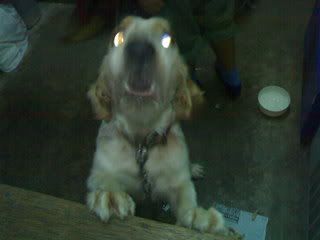 08062007397.jpg