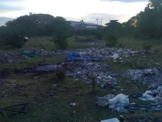 15062007416.jpg