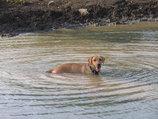IMG_0152.jpg