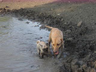 IMG_0165.jpg