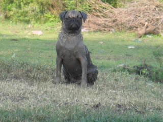 IMG_0176.jpg