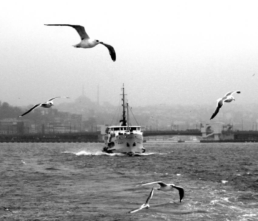 deniz-tasitlari2.jpg