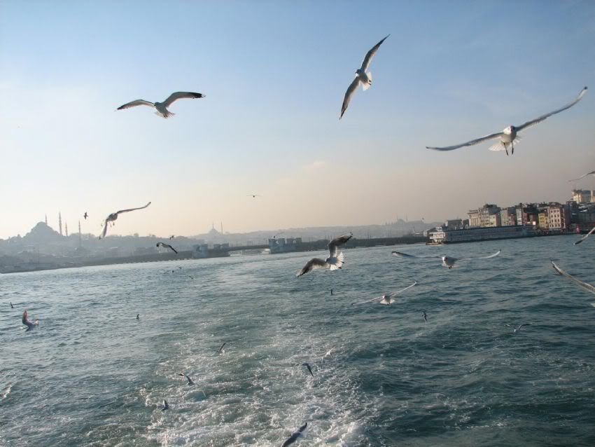 deniz-tasitlari5.jpg