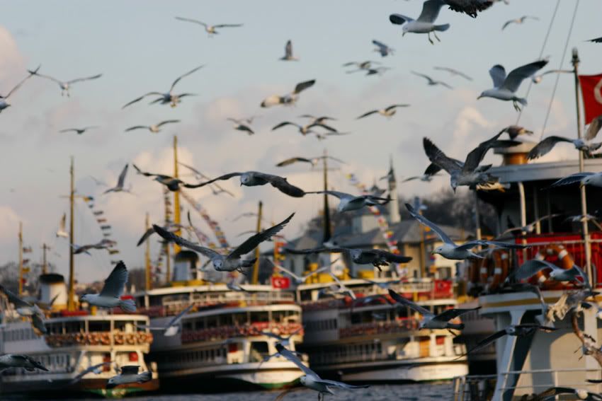deniz-tasitlari7.jpg